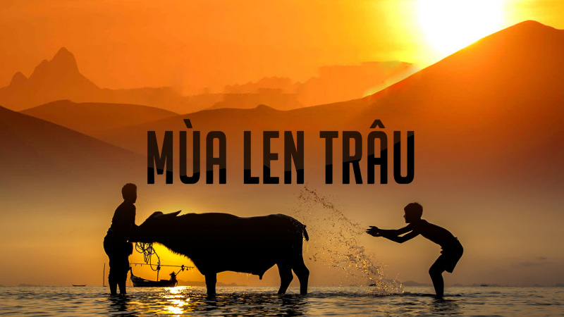 Mùa len trâu - Buffalo boy